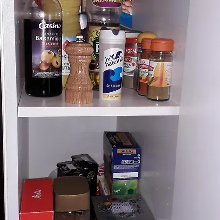 Διαμέρισμα :) Grand Lumineux A Et Parking Τουλούζη