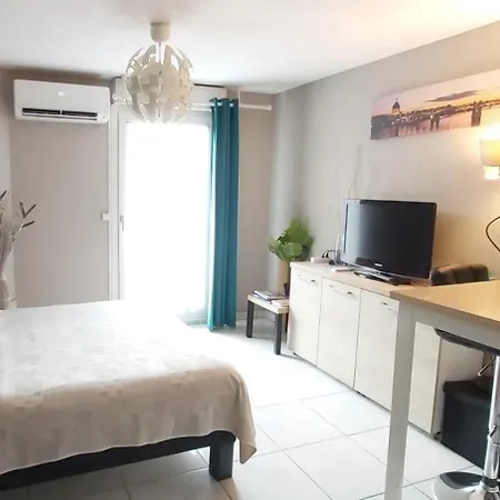 :) Grand Lumineux A Et Parking * Тулуза