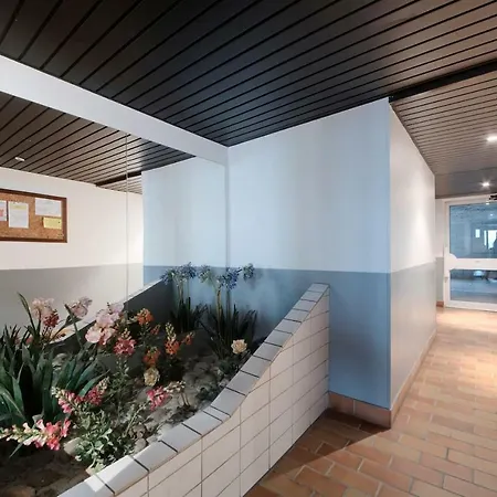 :) Grand Lumineux A Et Parking * Tuluza