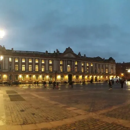 Appartement :) Grand Lumineux à Et Parking Toulouse