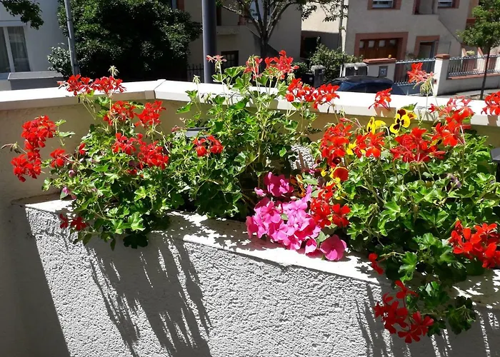 :) Grand Lumineux A Et Parking Апартаменты Тулуза