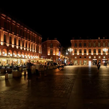 :) Grand Lumineux A Et Parking * Tuluza