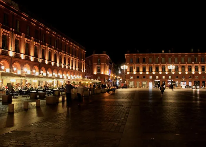 :) Grand Lumineux A Et Parking * Tuluza